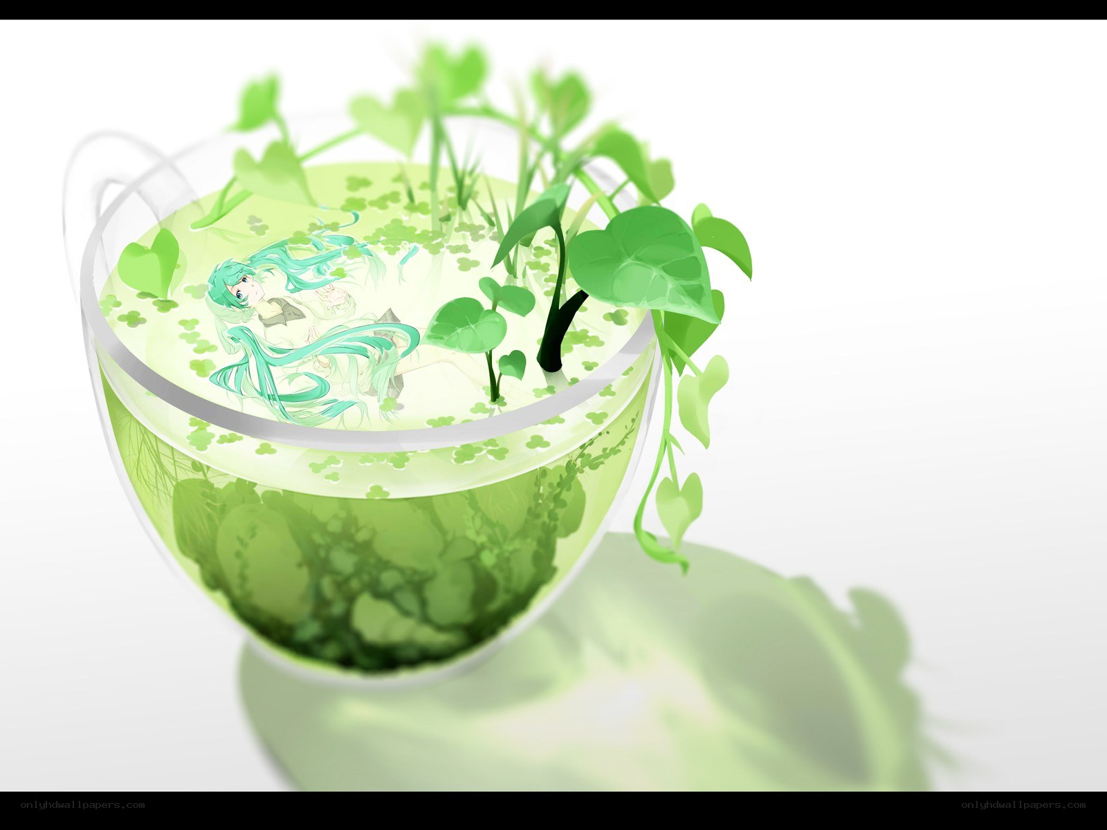 Miku in a green tea cup