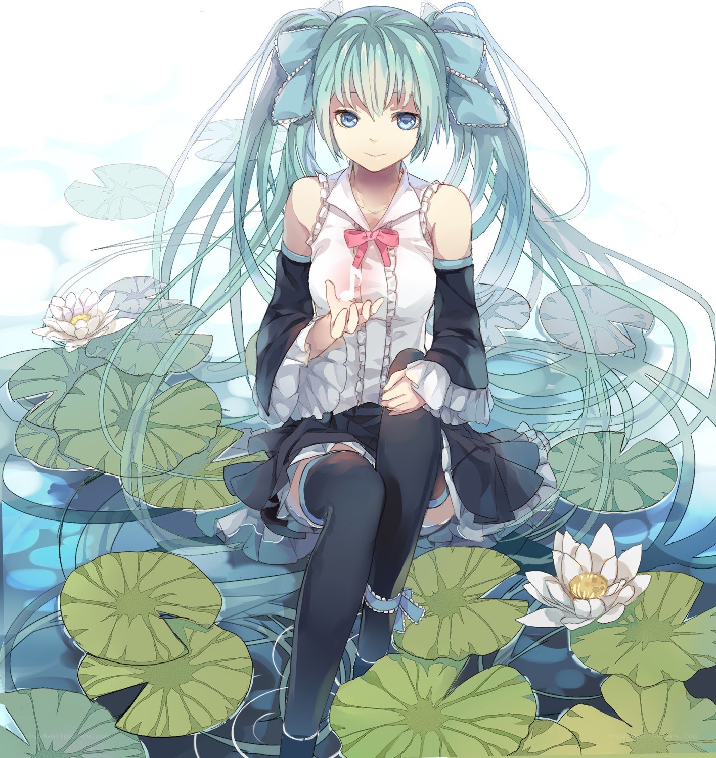 Miku in a lotus pond