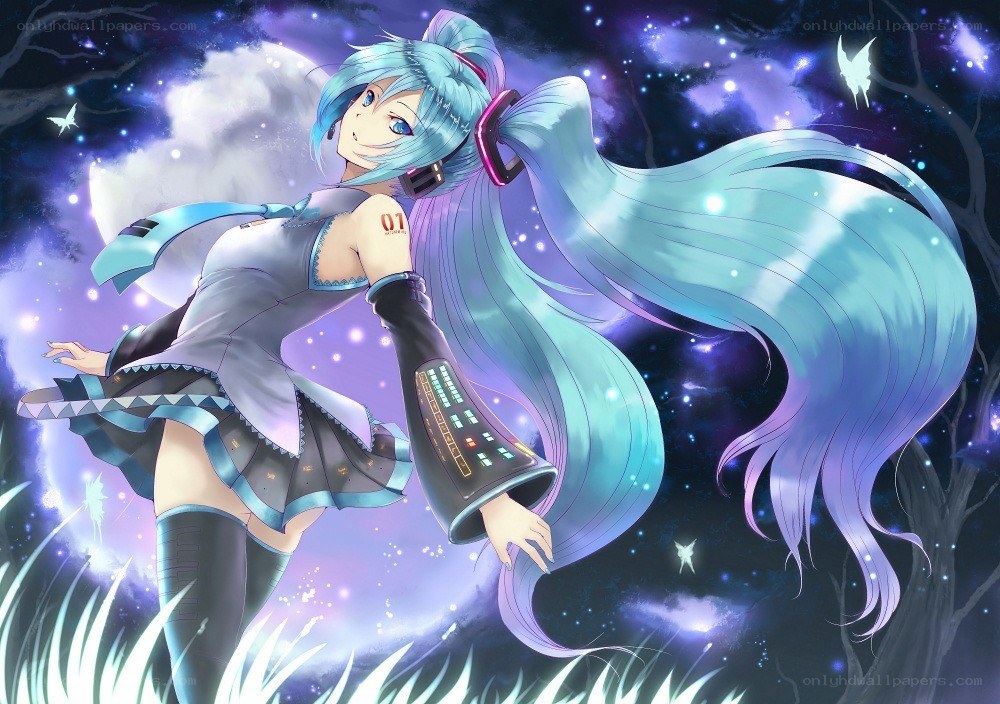 Miku in a starry night