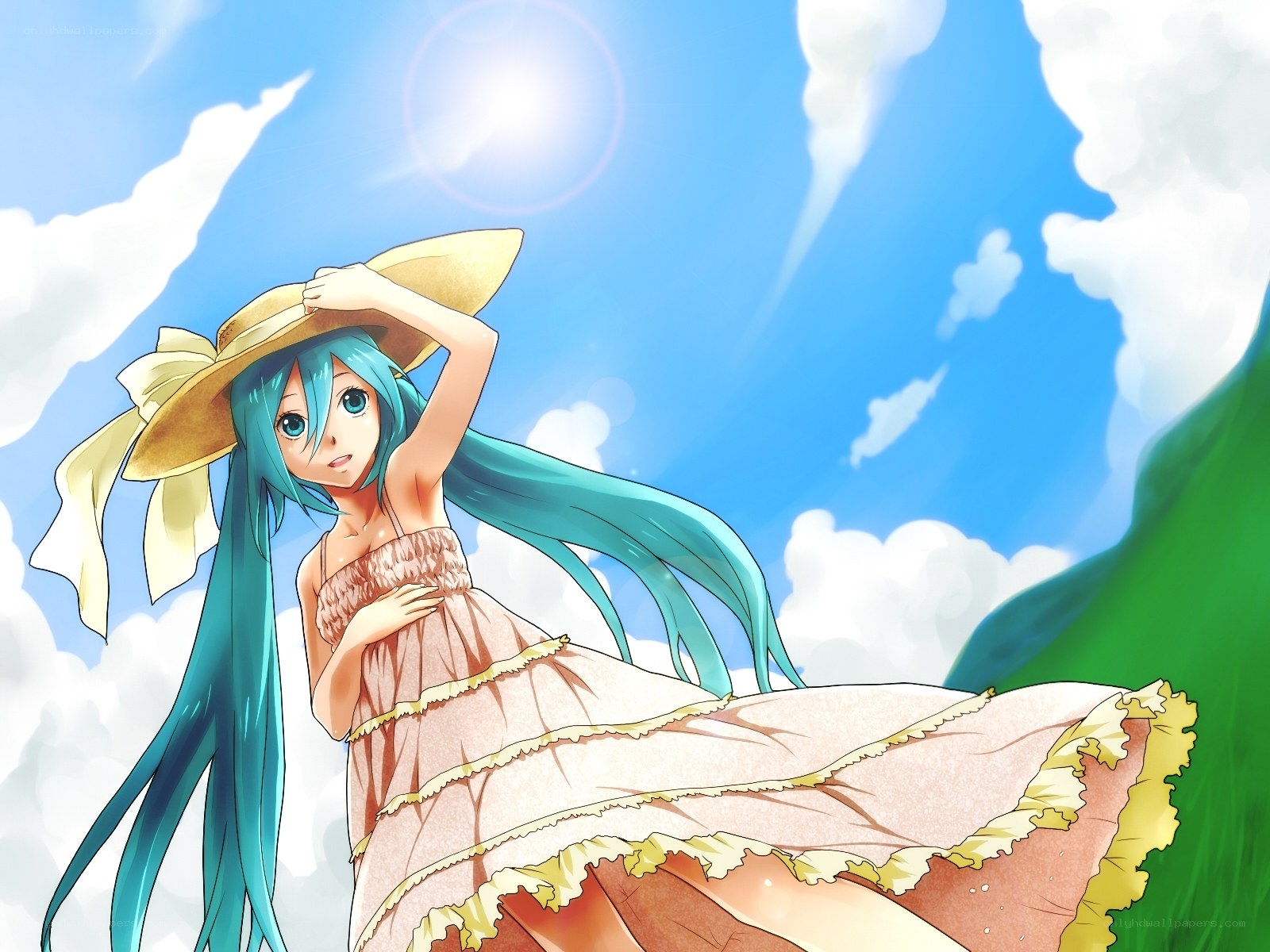 Miku in a sun hat