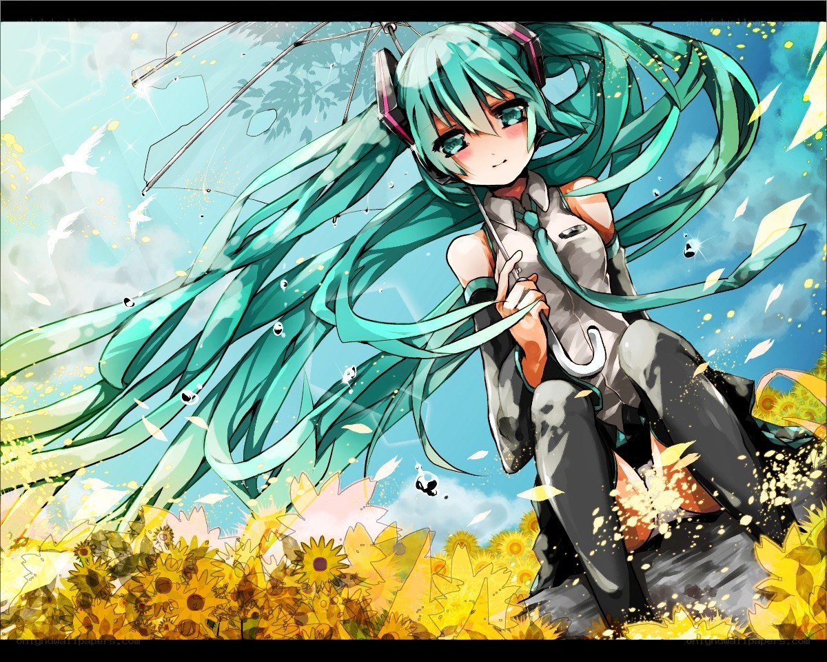 Miku in a sunflower field