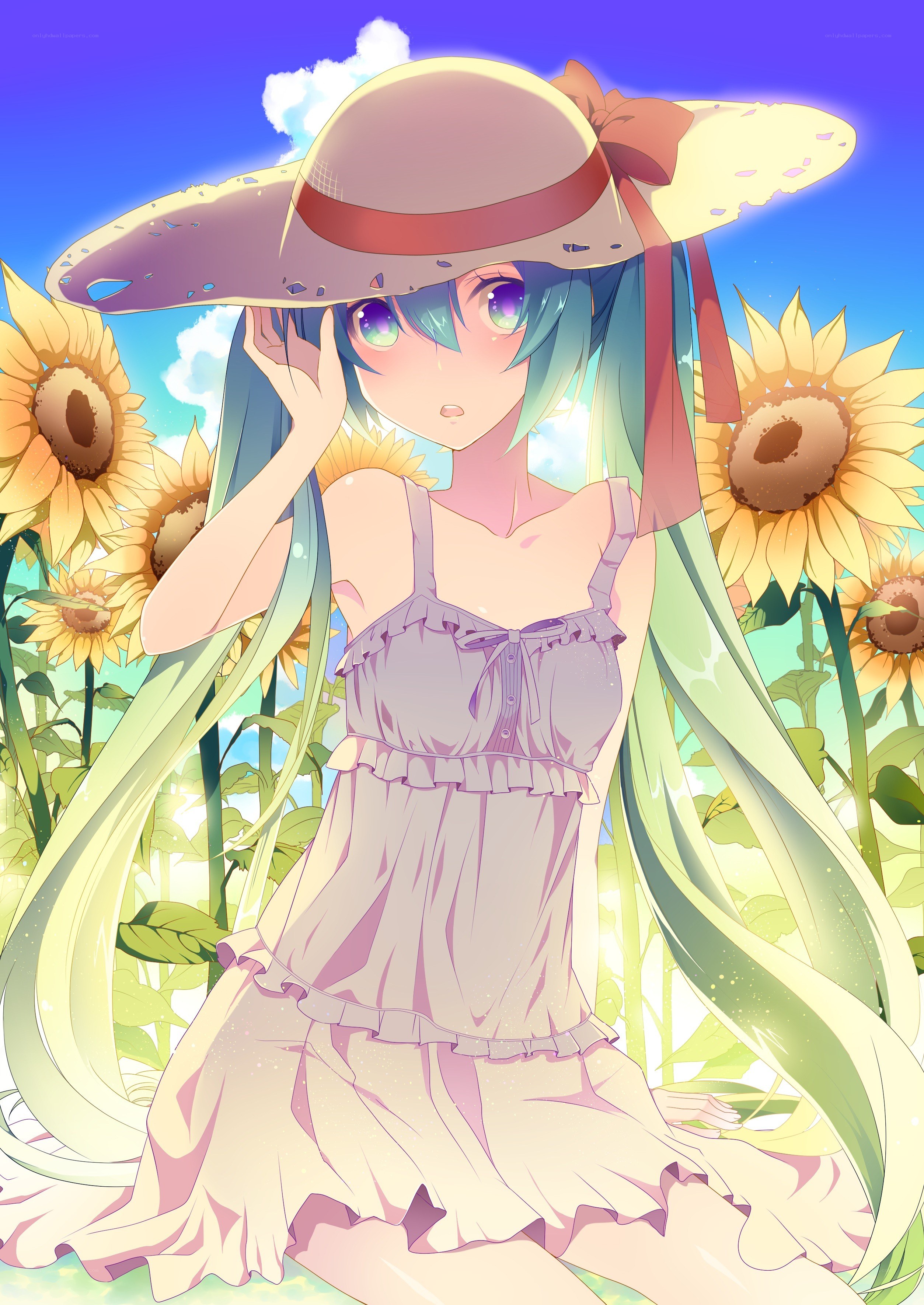 Miku in a sunflower field