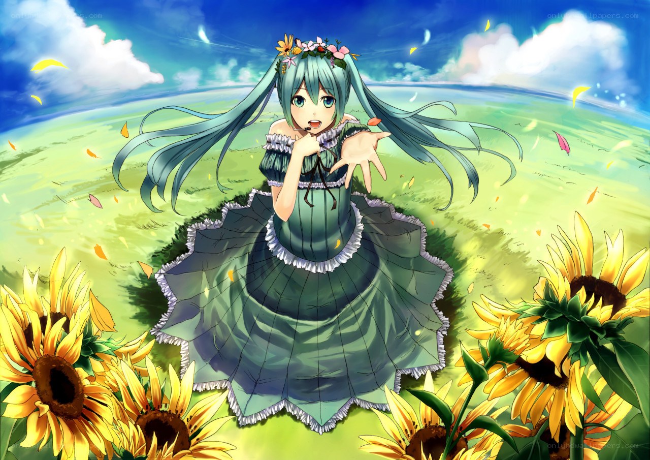 Miku in a sunflower field