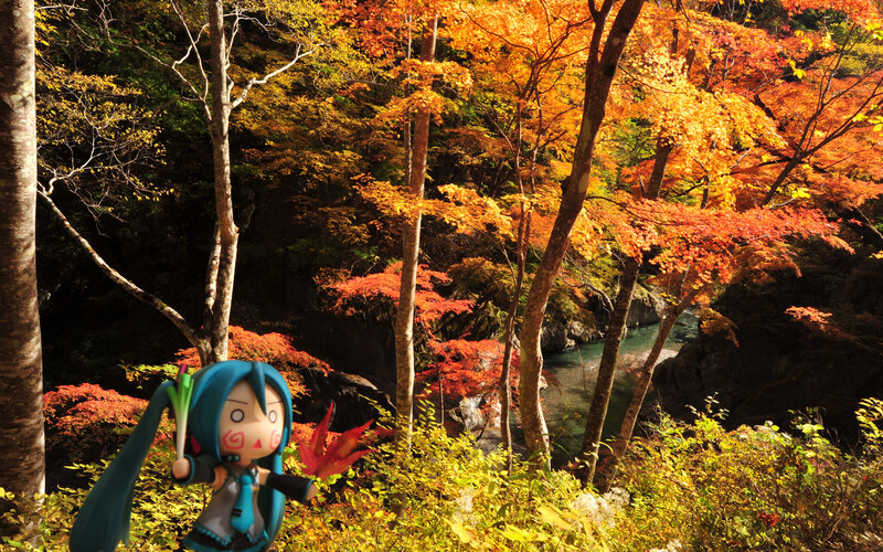 Miku in autumn forest