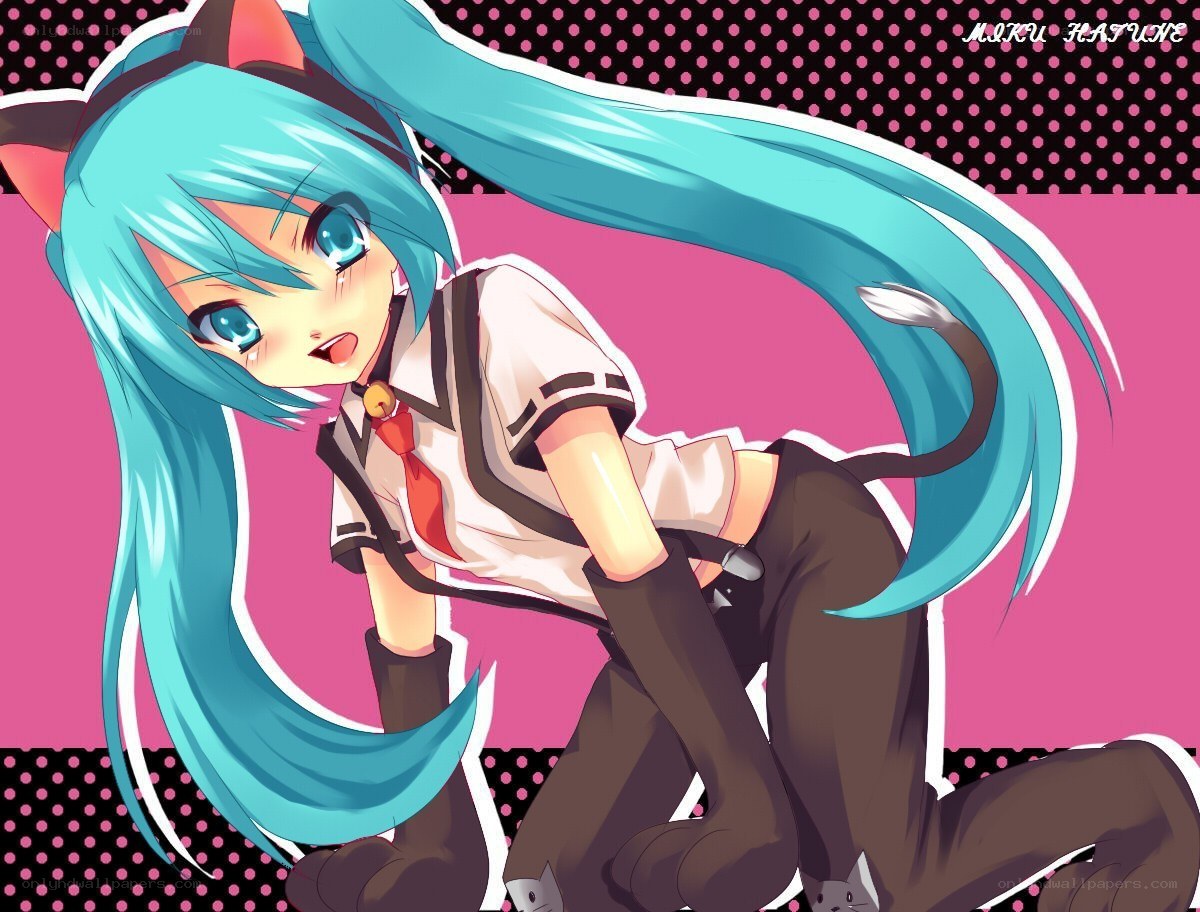 Miku in cat ears and tail
