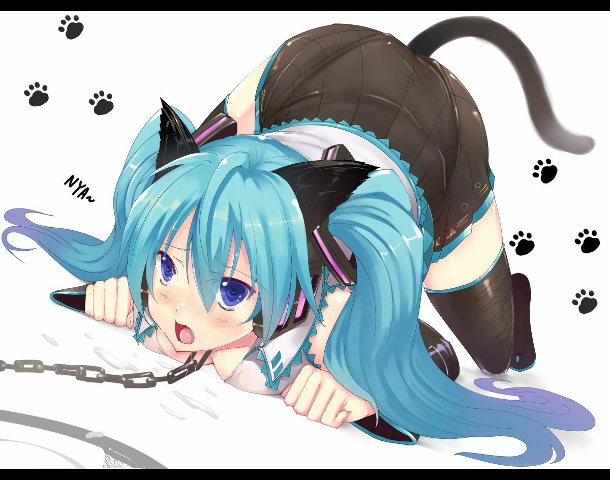 Miku in cat form