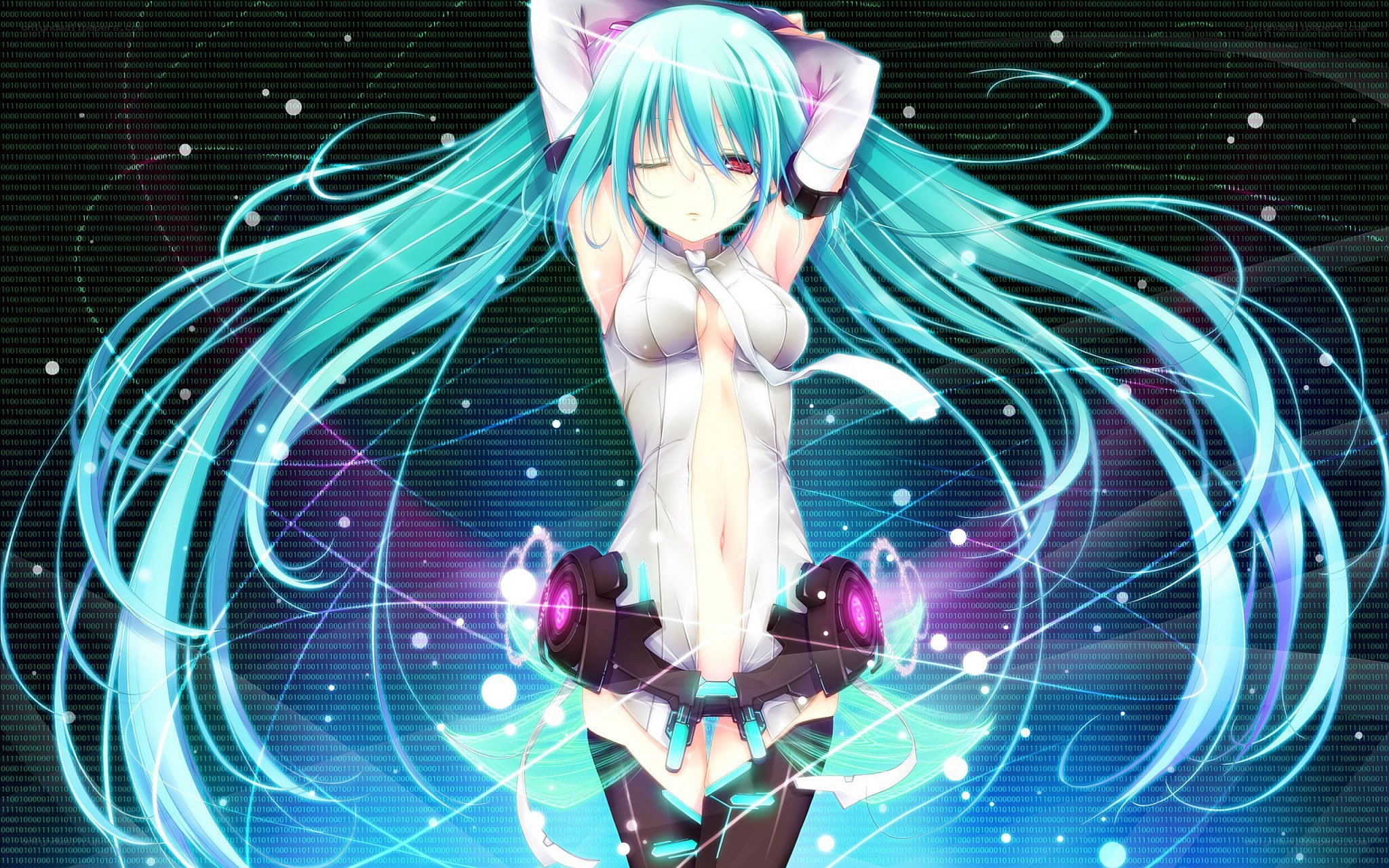 Miku in digital world
