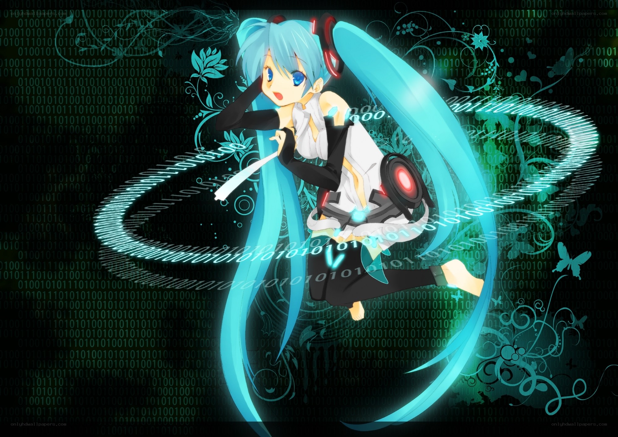 Miku in digital world