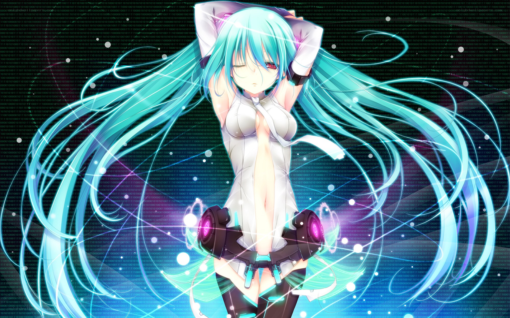 Miku in digital world