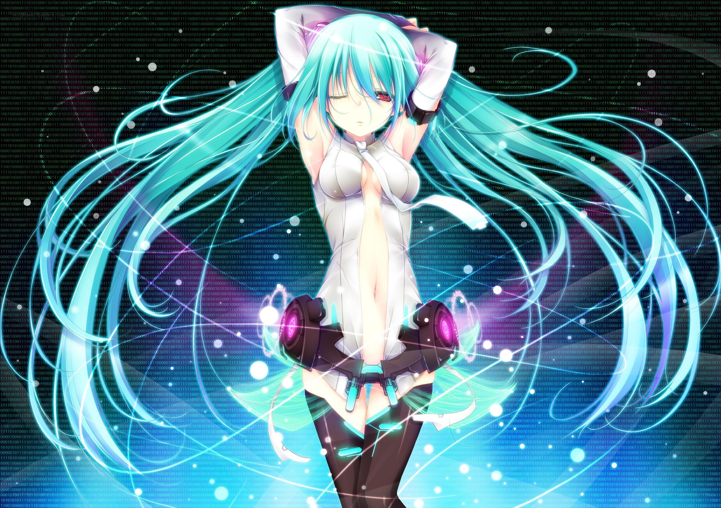 Miku in digital world