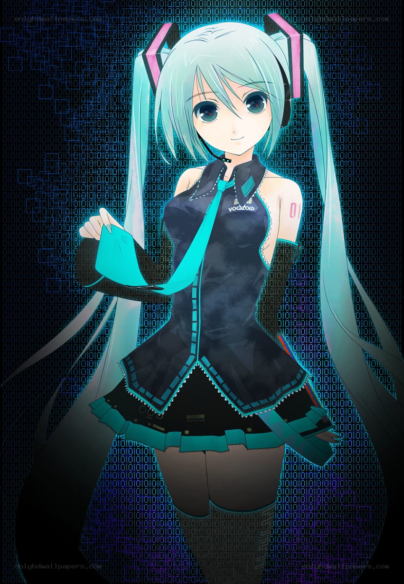 Miku in digital world