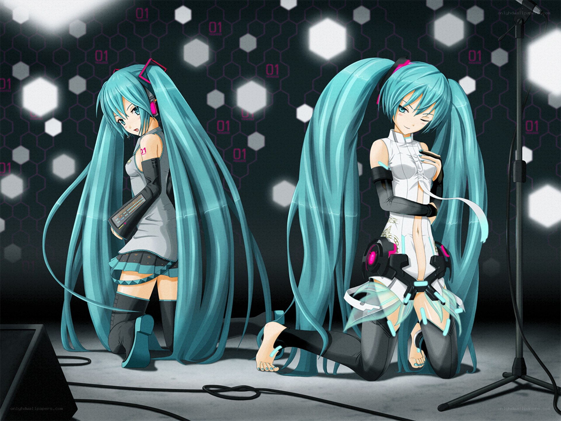 Miku in two outfits