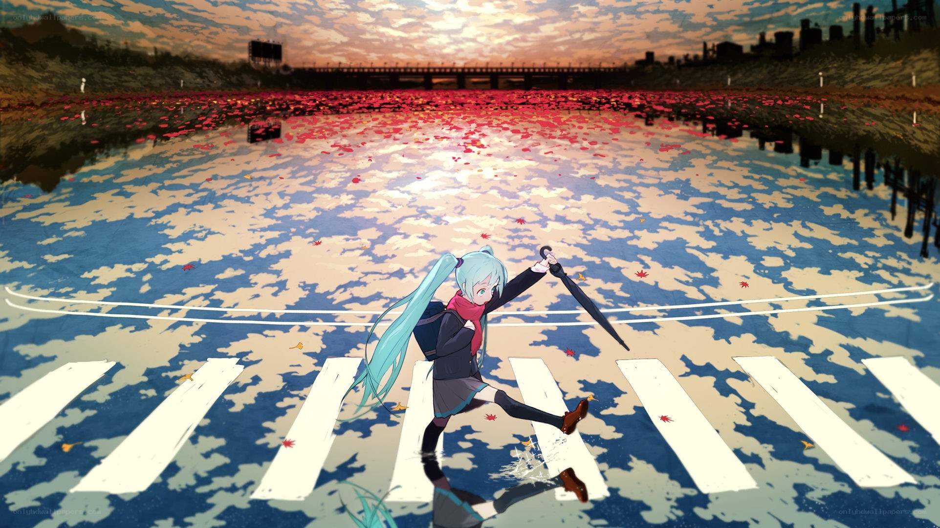 Miku on a flooded crosswalk