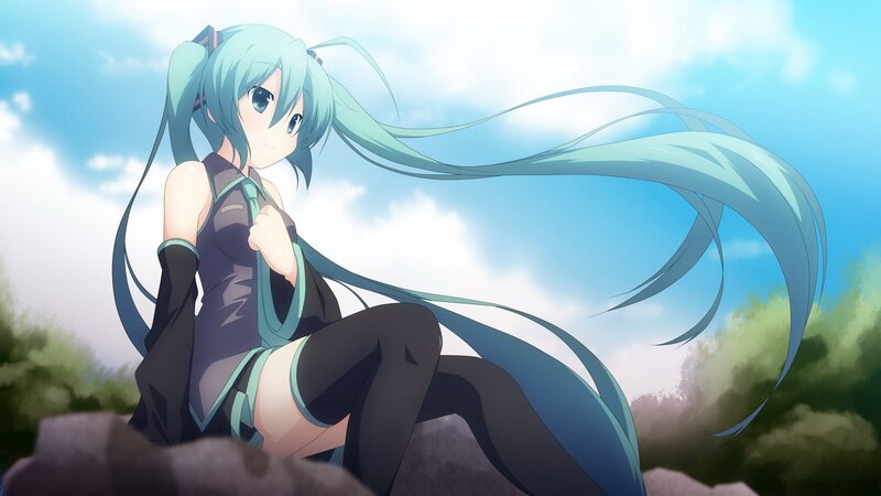 Miku on a rock in the sun