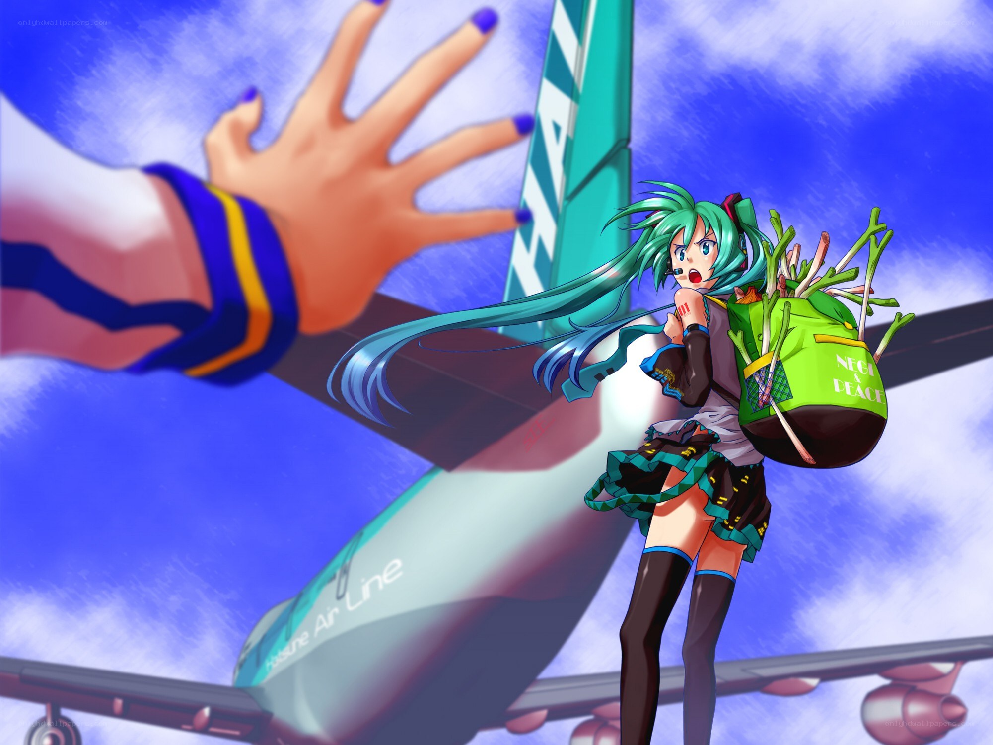Miku on an airplane