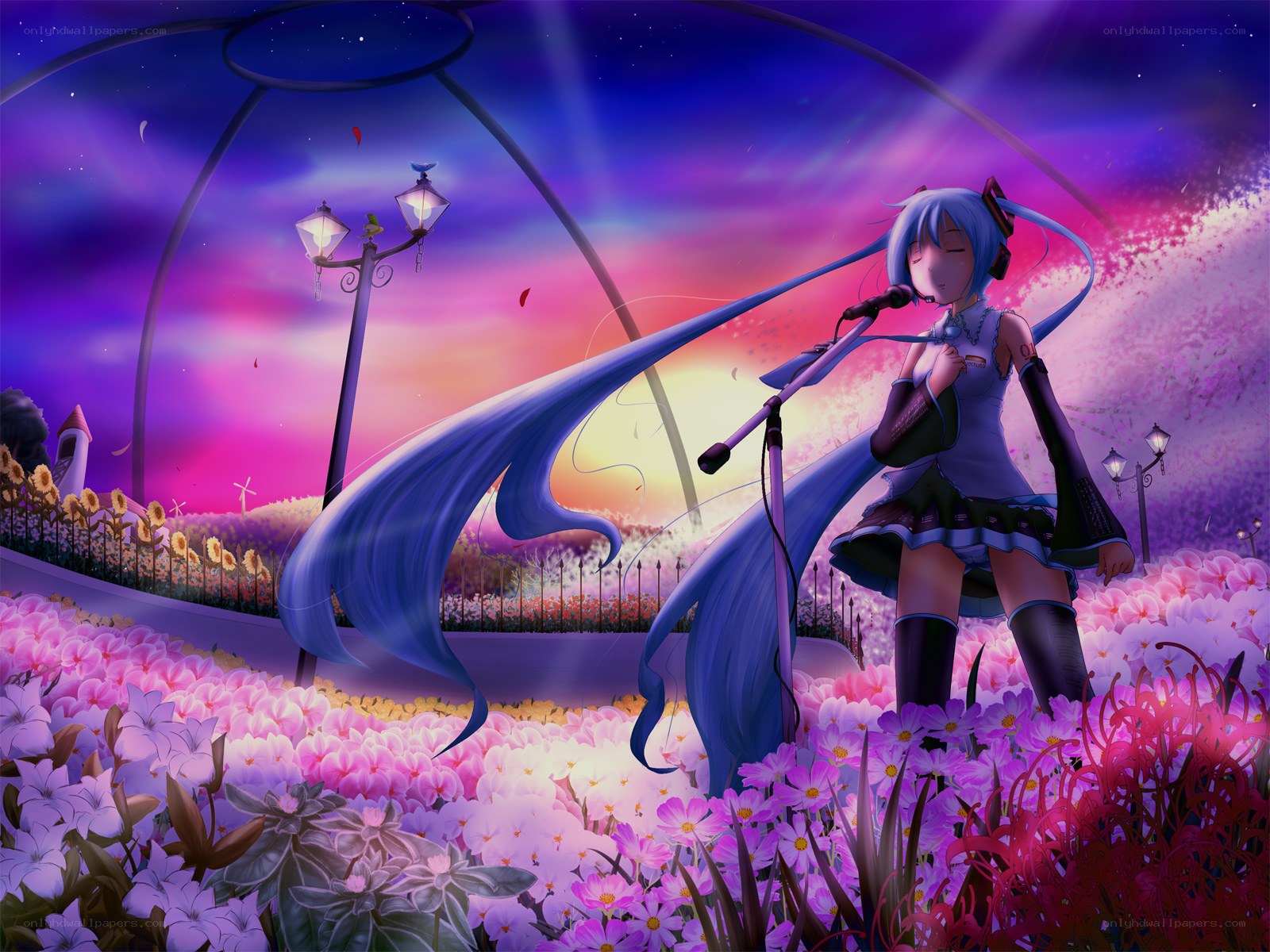 Miku singing in a flower field