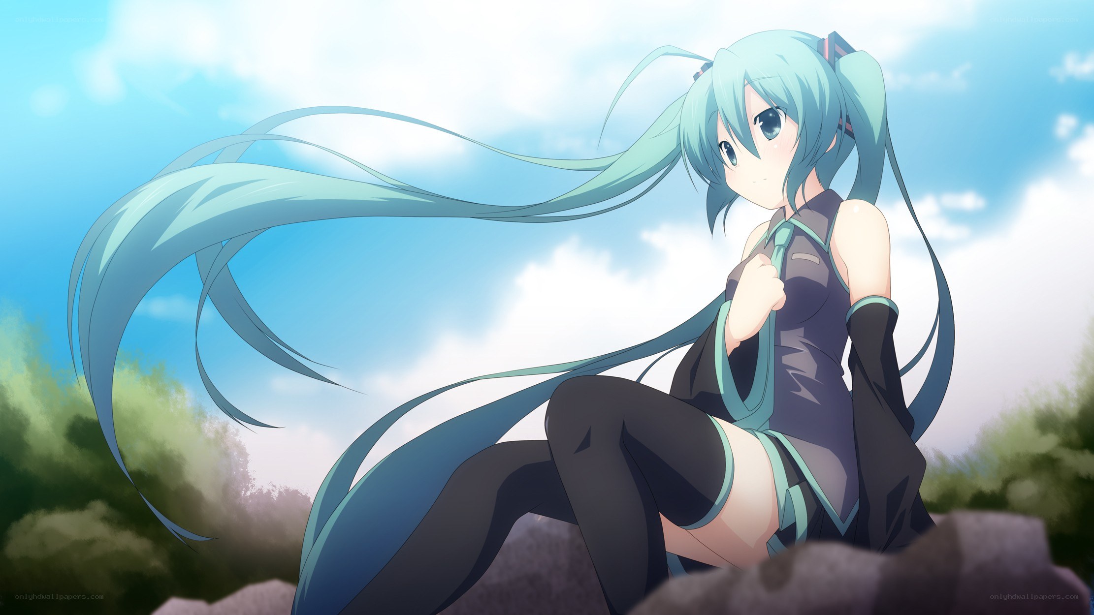 Miku sitting on a rock