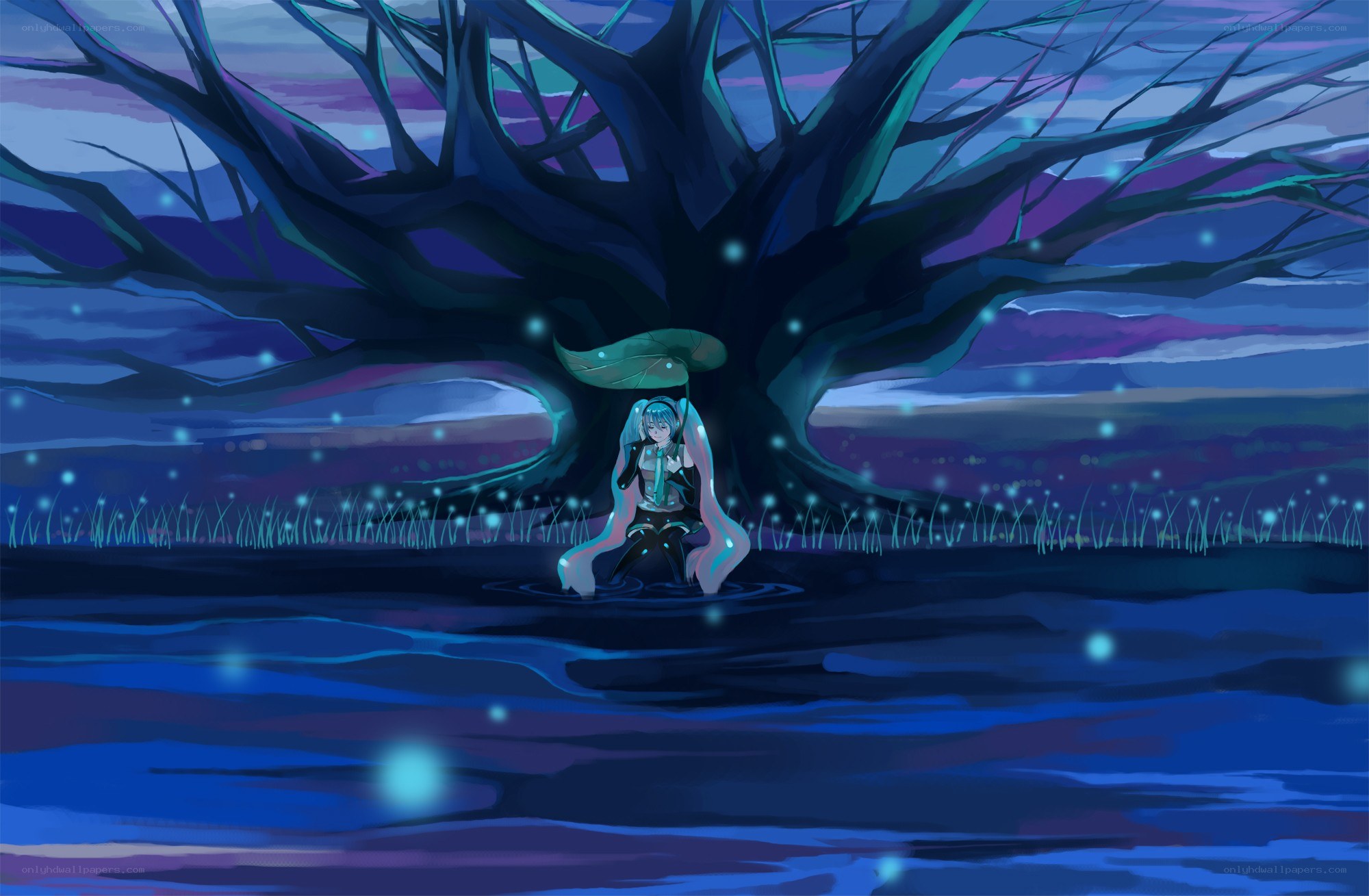 Miku under a tree at night