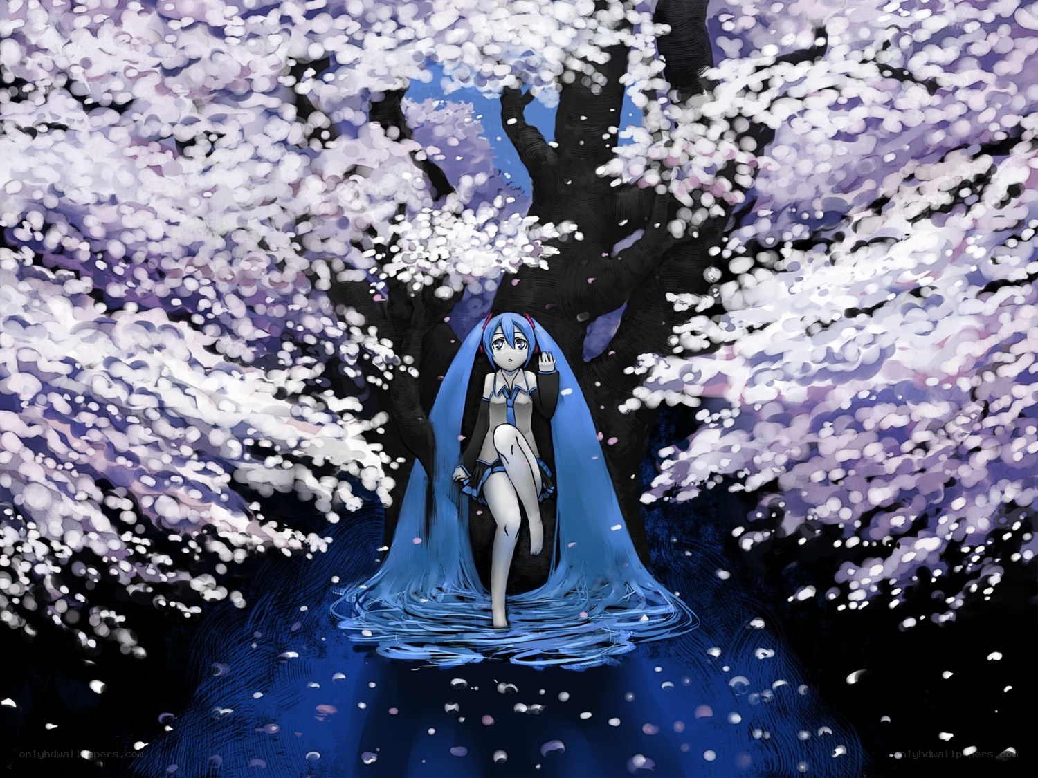 Miku under cherry blossoms