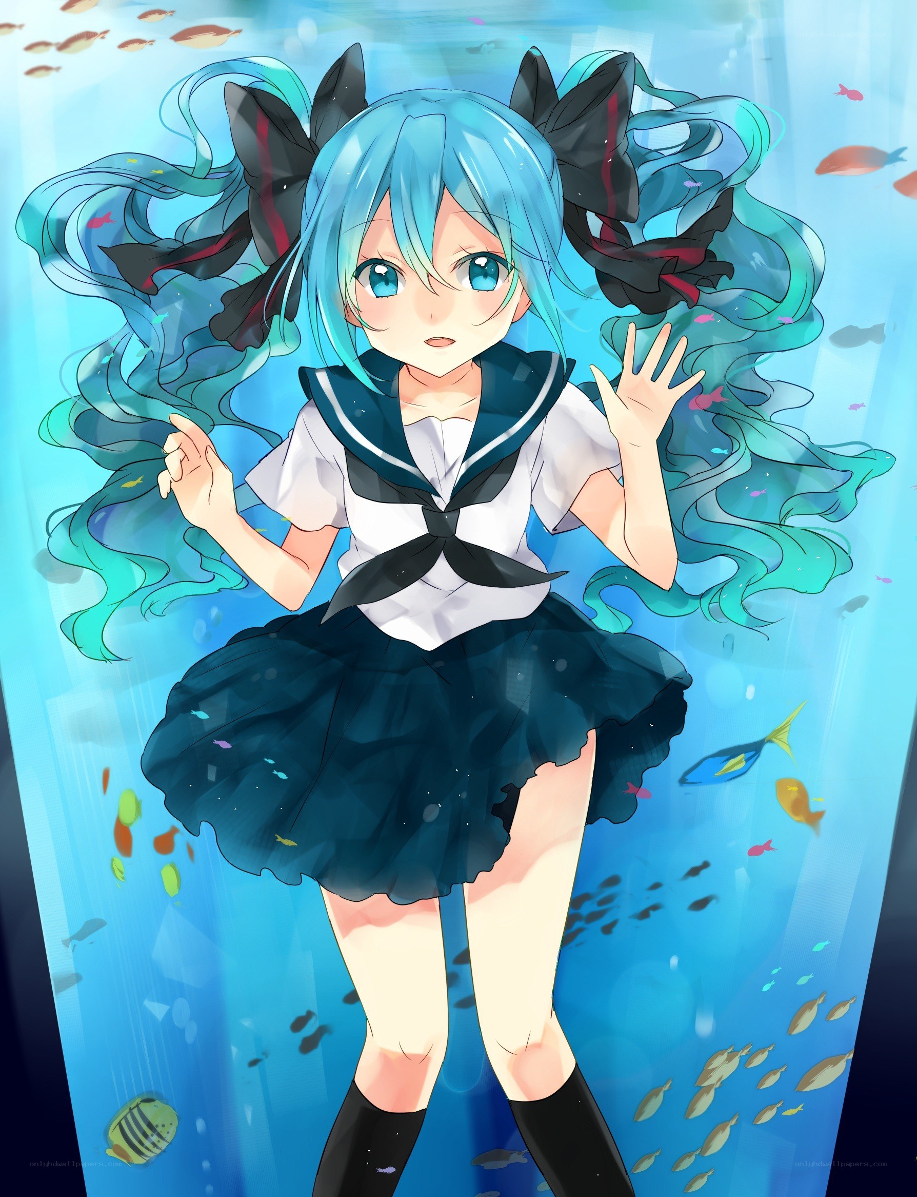 Miku underwater with fish