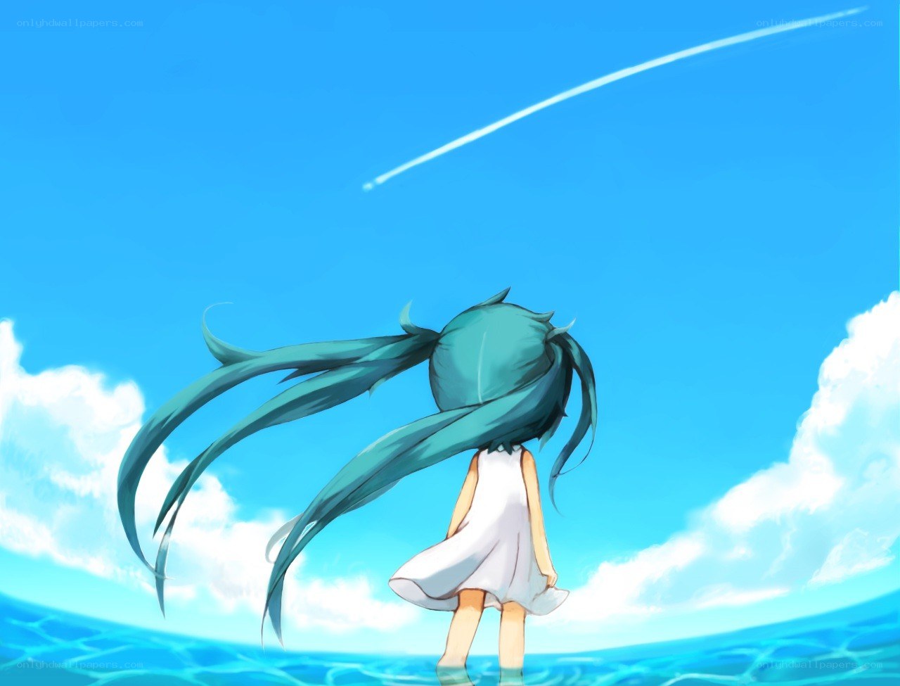 Miku watching a shooting star