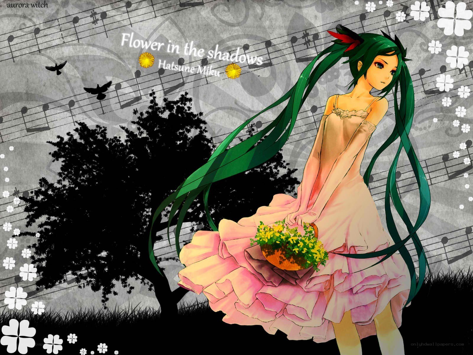 Miku with flowers in shadows