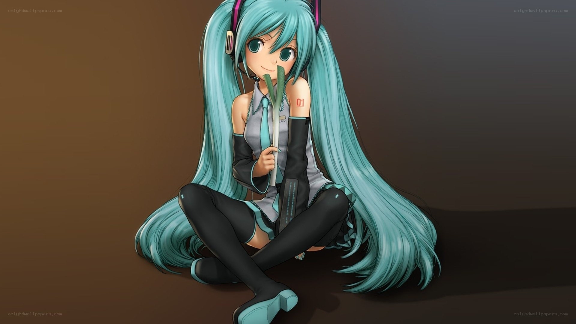 Miku with leek