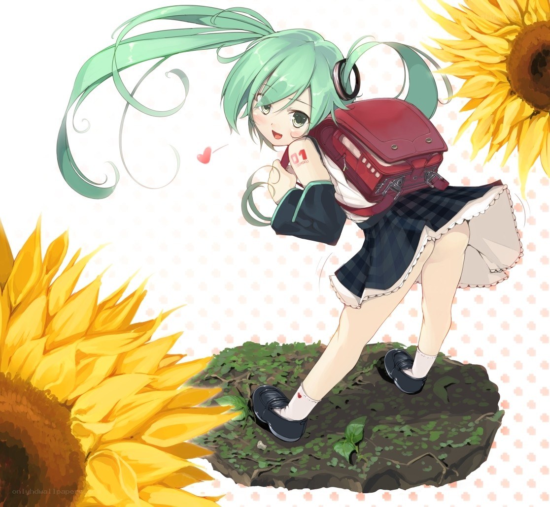 Miku with sunflowers