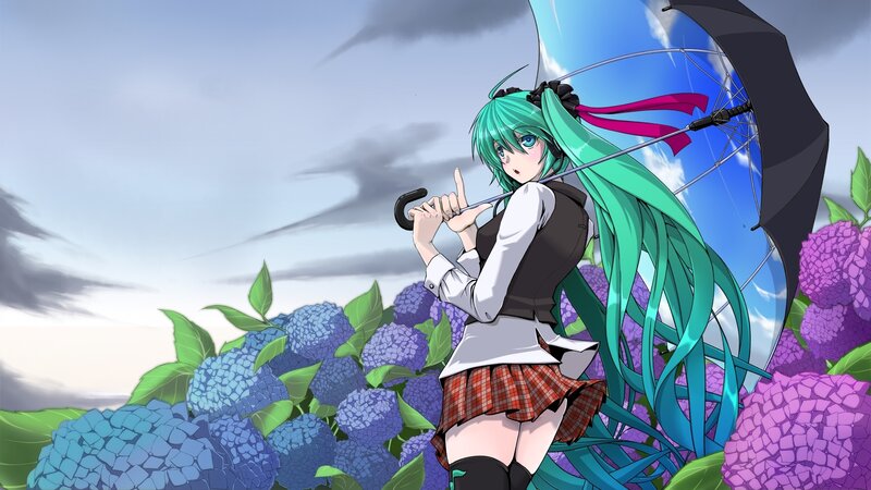 Miku with umbrella in hydrangea field