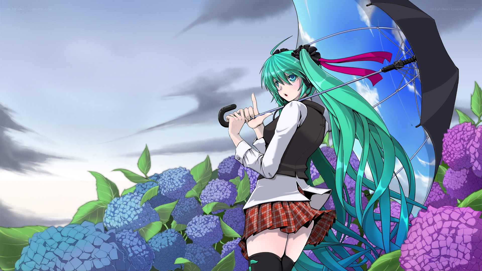 Miku with umbrella in hydrangeas