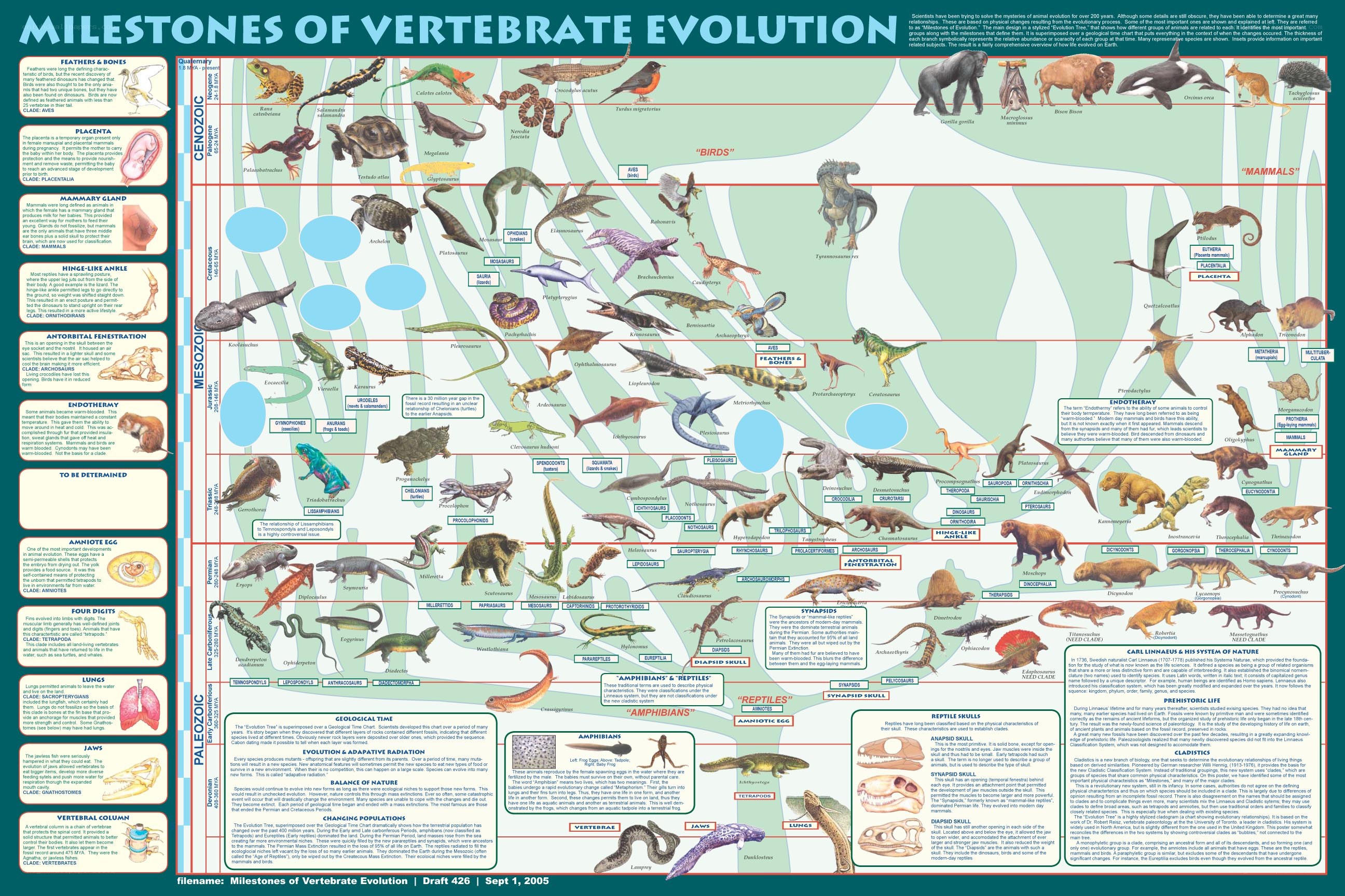 Milestones of Vertebrate Evolution