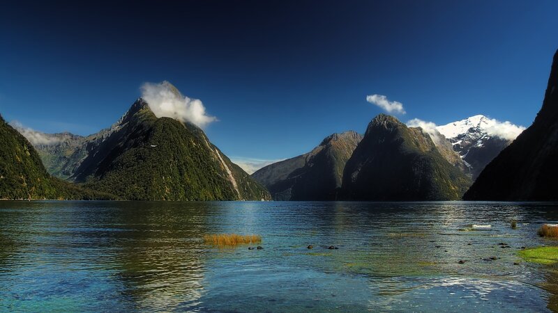 Milford Sound Fjord — Blue, Serene, Afternoon