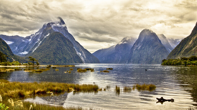Milford Sound Fjord — Green