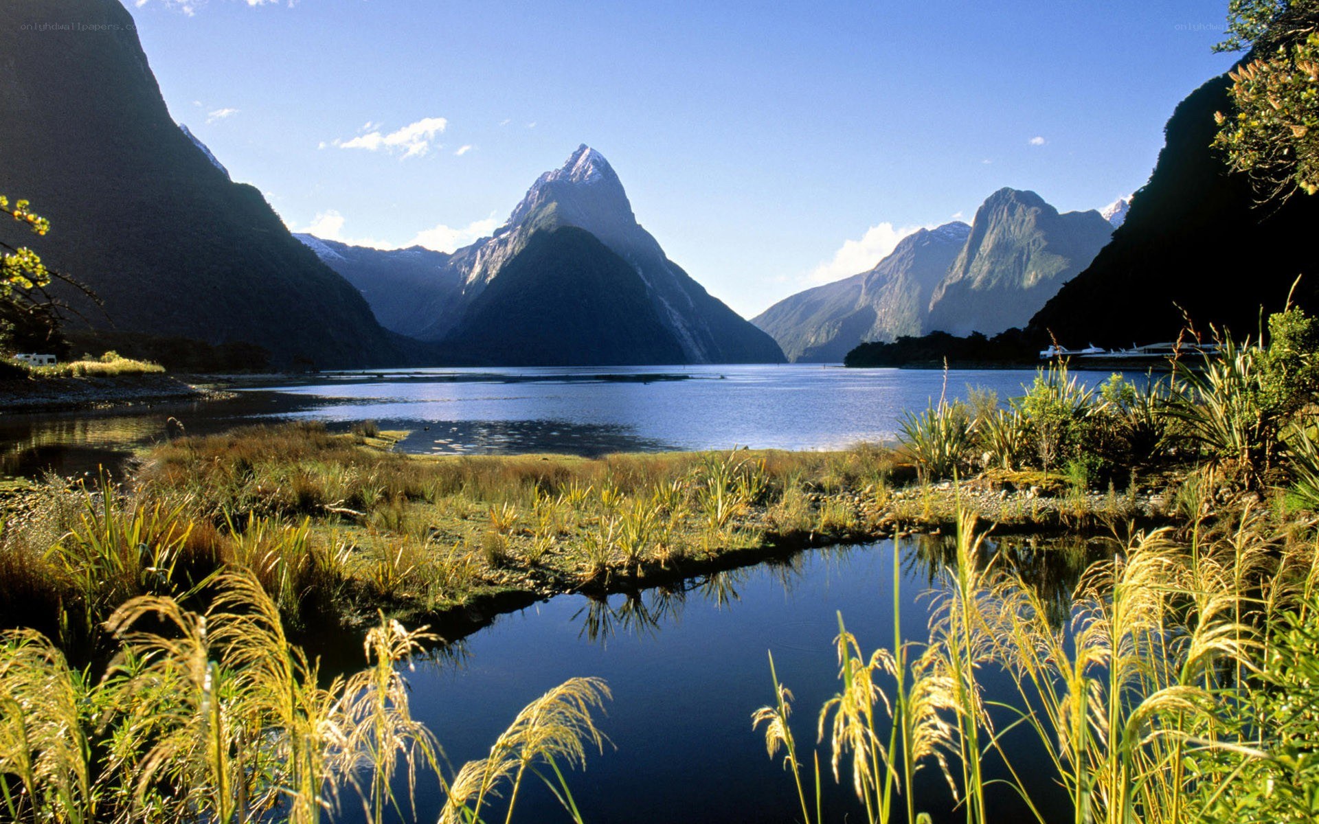 Milford Sound landscape