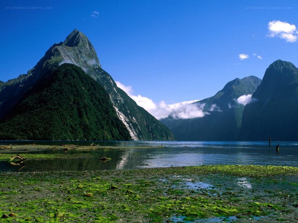 Milford Sound landscape