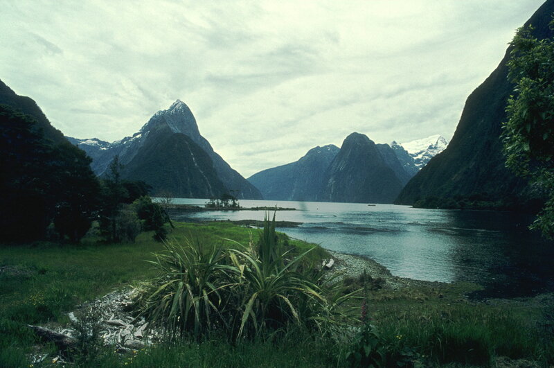 Milford Sound landscape