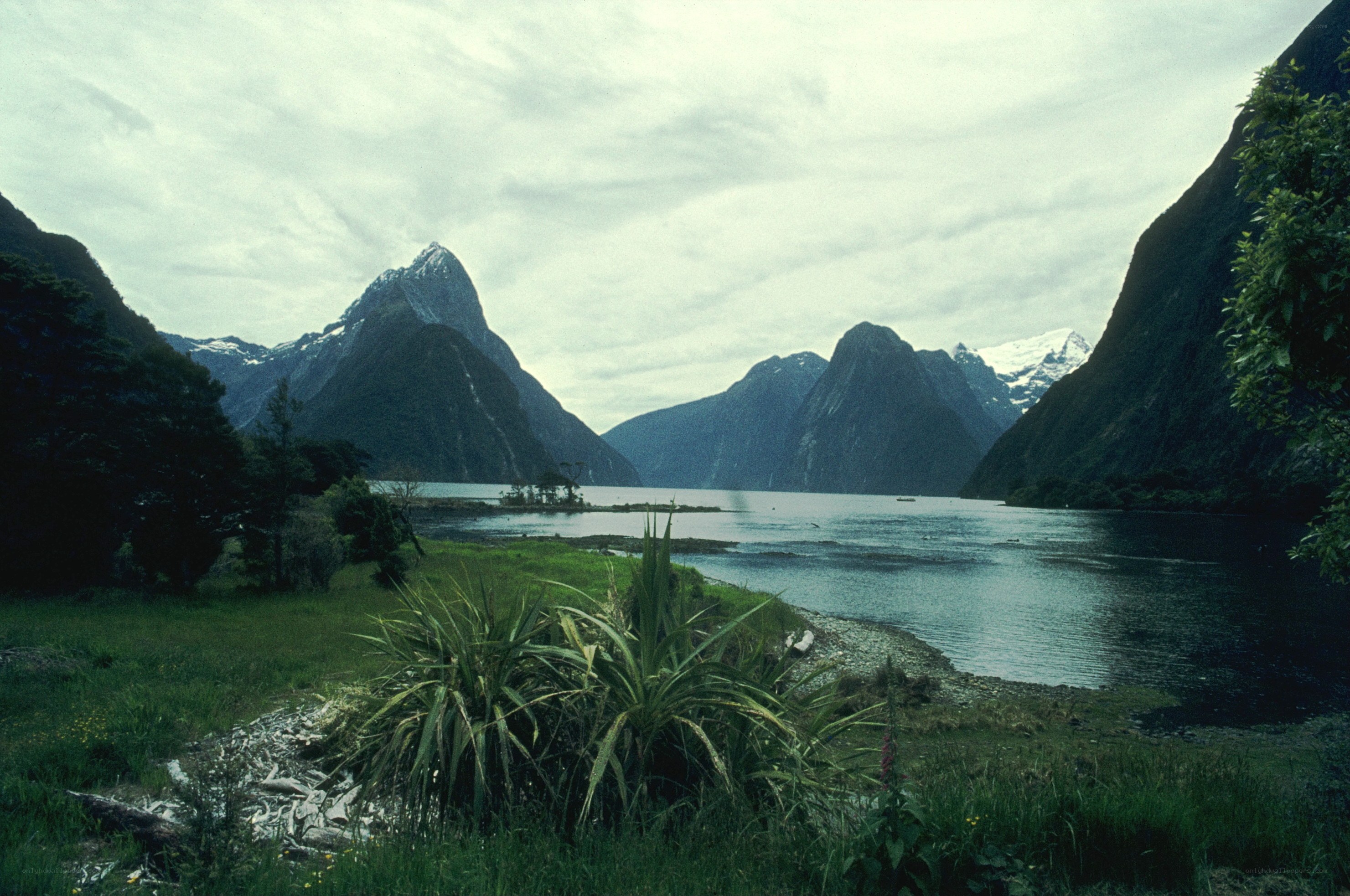 Milford Sound landscape