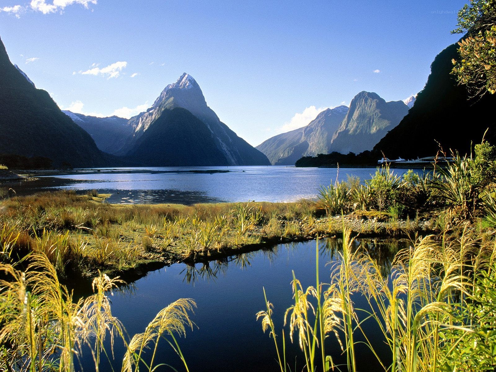 Milford Sound landscape
