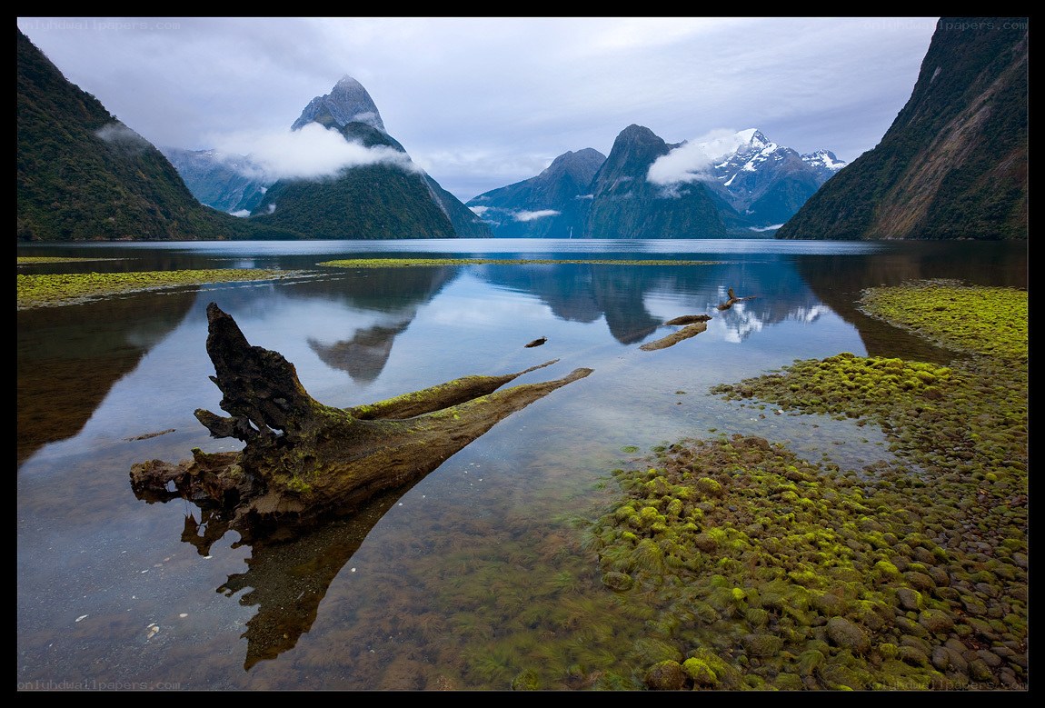 Milford Sound landscape