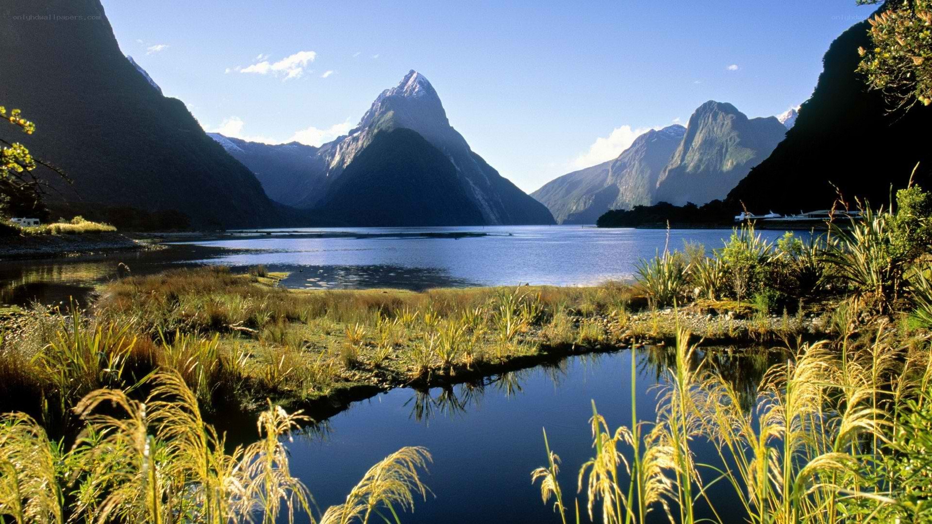 Milford Sound landscape