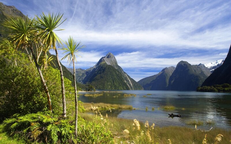 Milford Sound Landscape — Blue, Serene