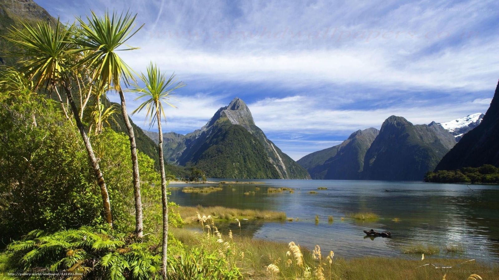 Milford Sound landscape