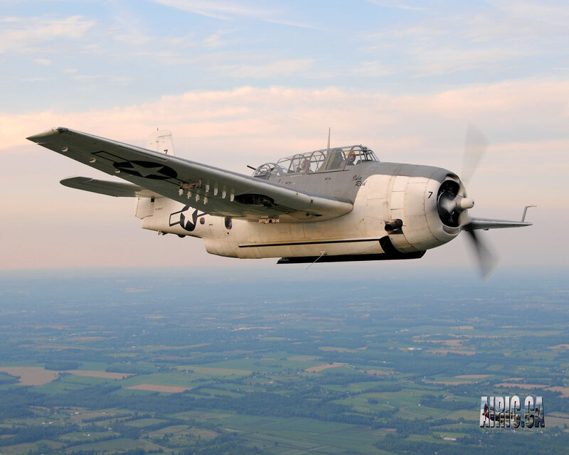Military Aircraft in Flight — Gray, Serene