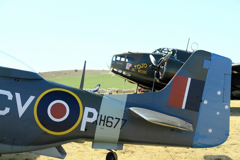 Military Aircraft on Display — Blue