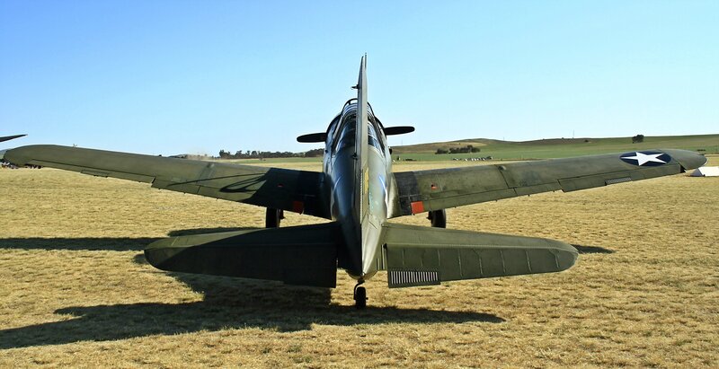 Military Aircraft on Field — Green
