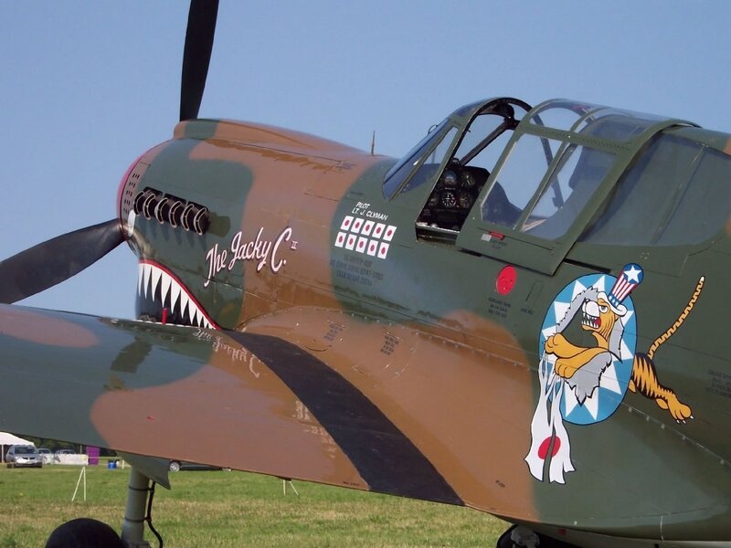 Military Airplane on Grass