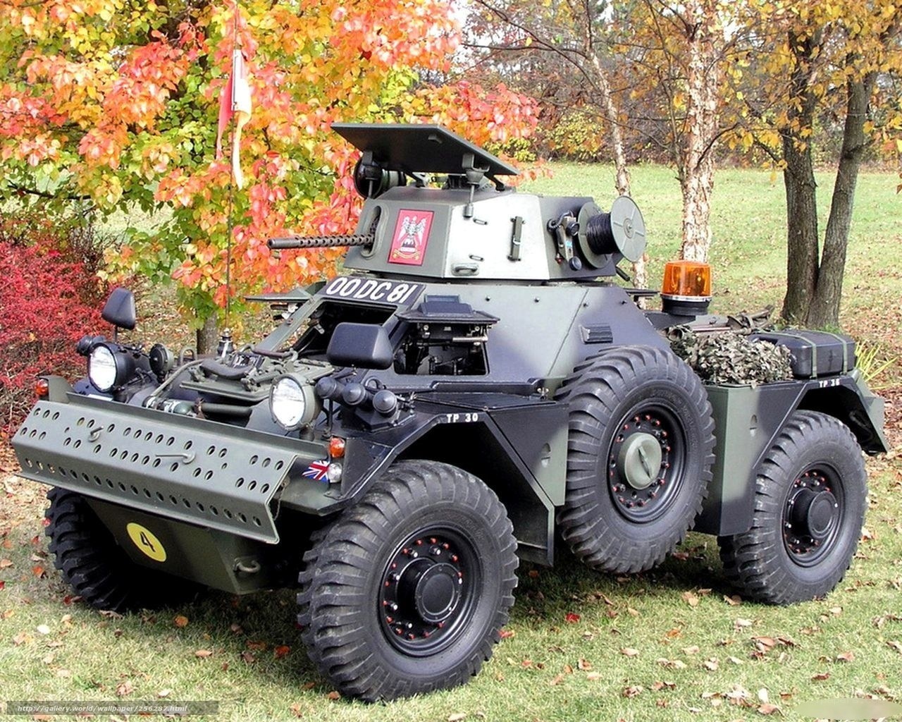 Military armored vehicle in autumn