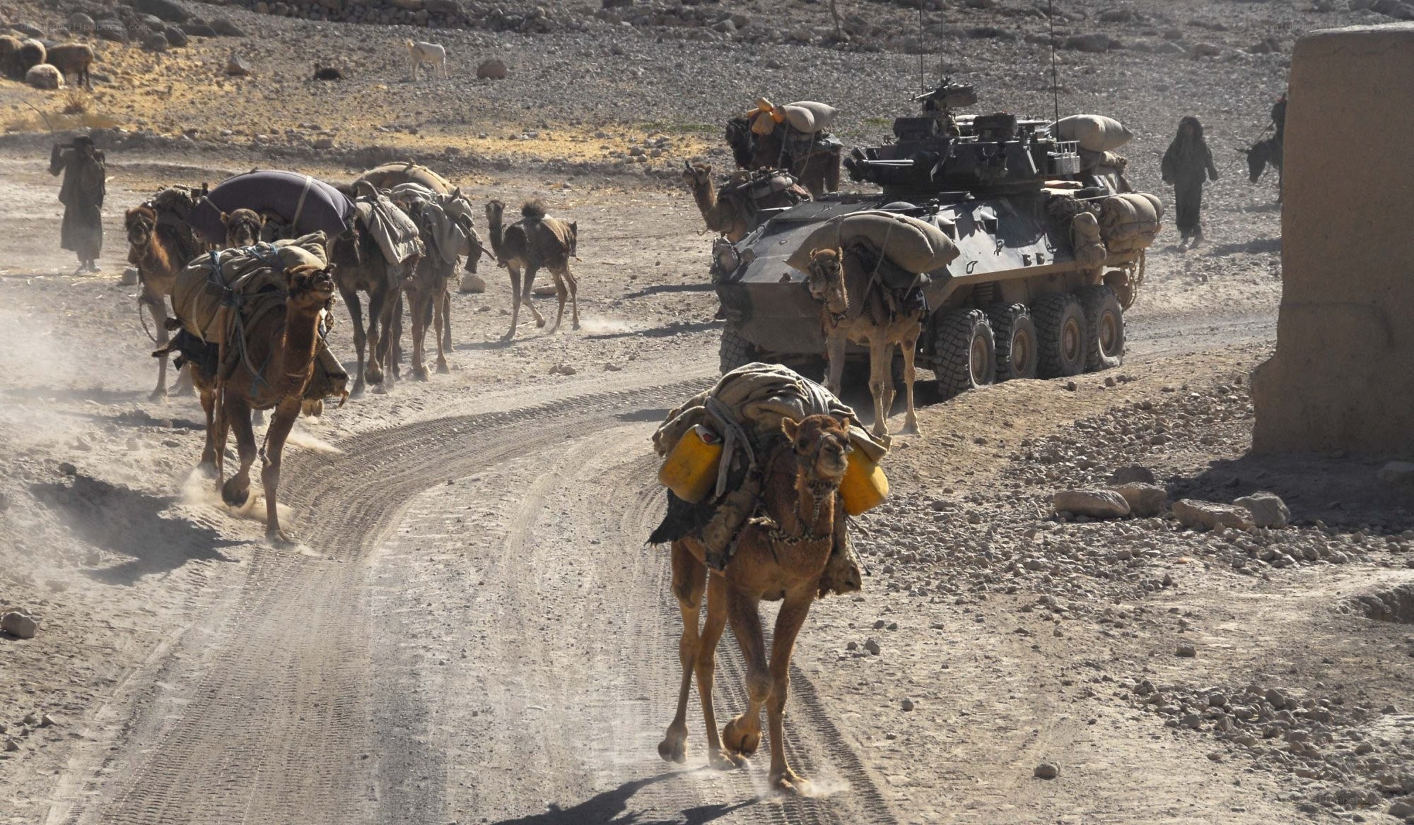 Military convoy in desert