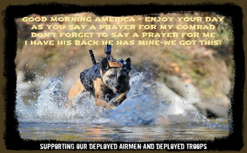 Military Dog in Water