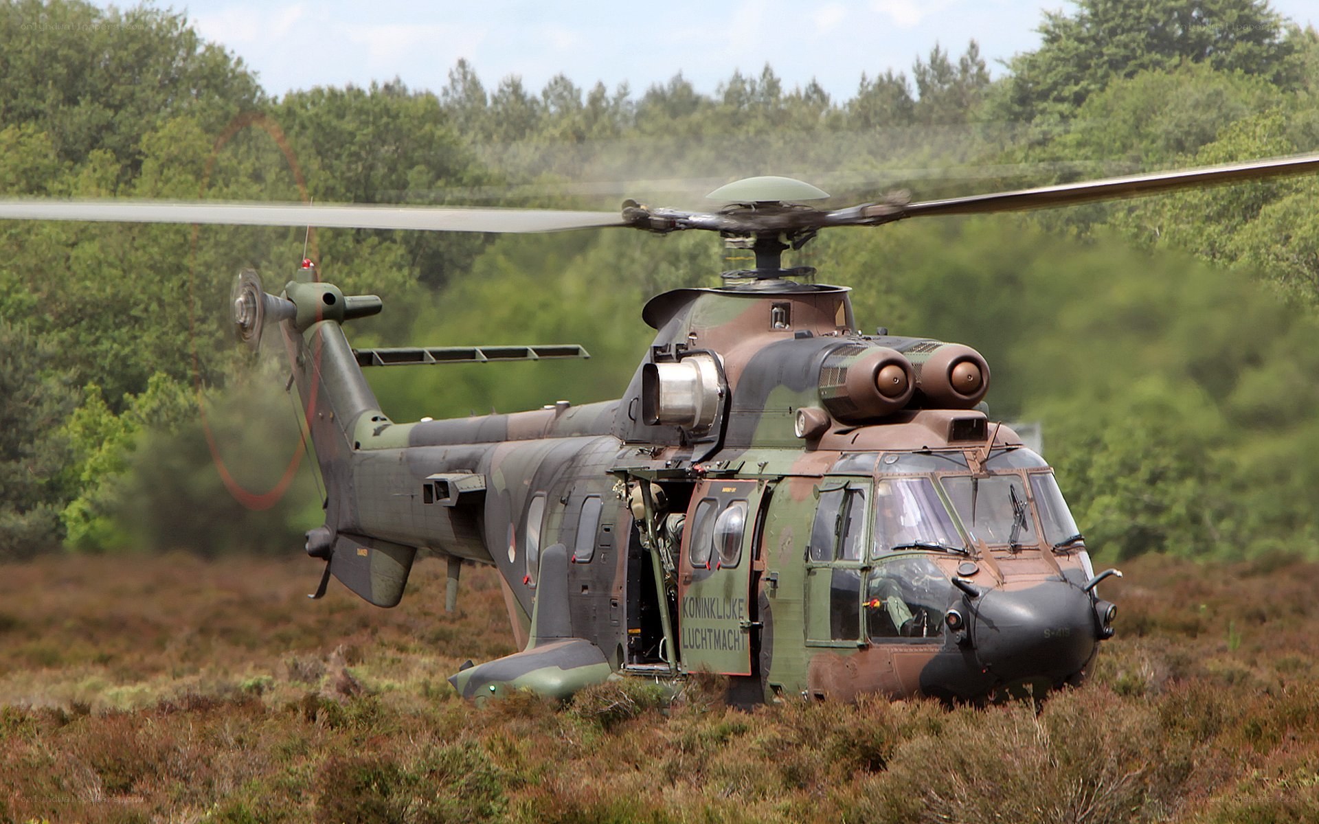 Military helicopter in field